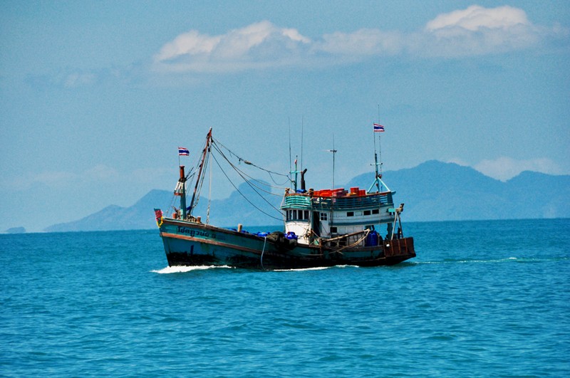 Bücher | Curry-Competition | Nr. 71 Curry Competition 14