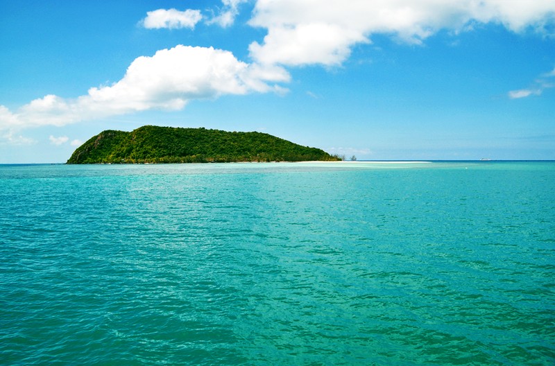 Bücher | Curry-Competition | Nr. 69 Curry Competition 16