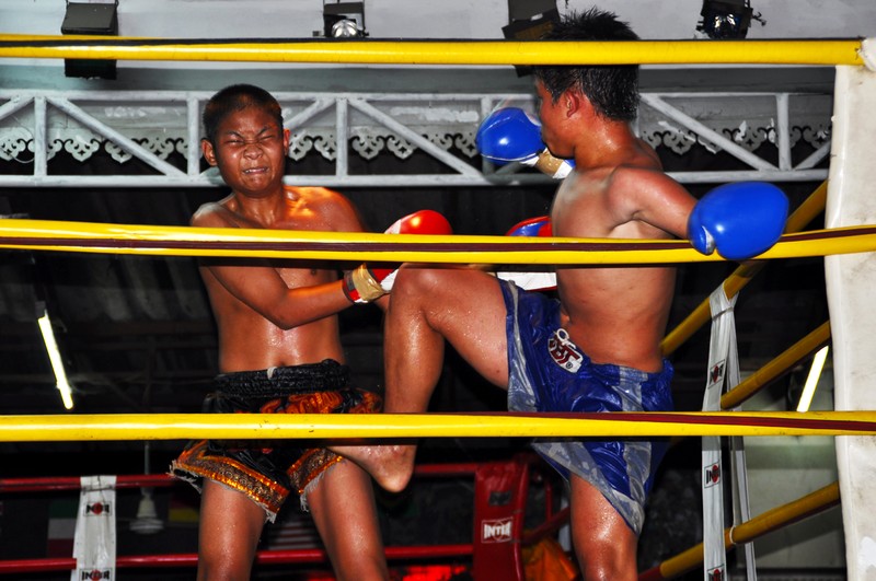 Bücher | Curry-Competition | Nr. 67 Curry Competition 18