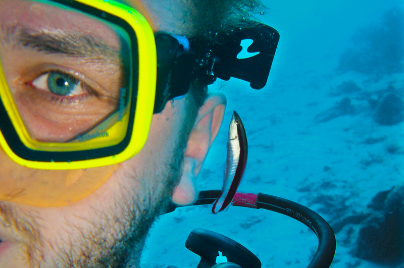 Bücher | Curry-Competition | Nr. 60 Curry Competition 25