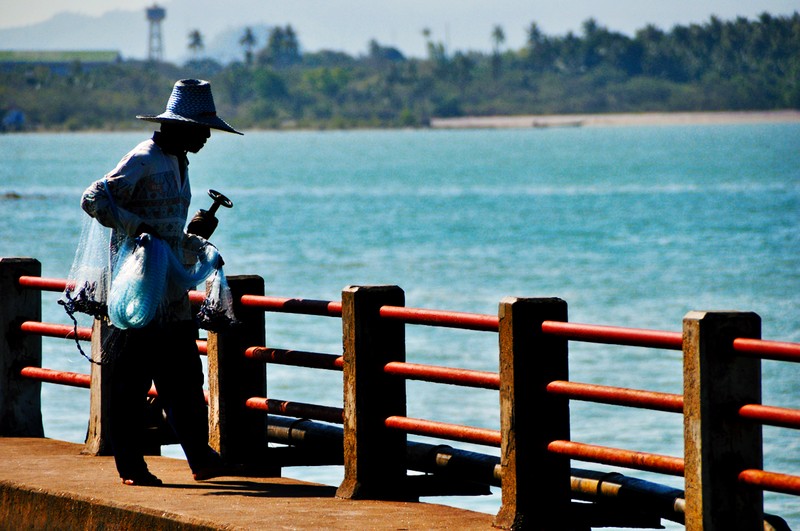 Bücher | Curry-Competition | Nr. 76 Curry Competition 9