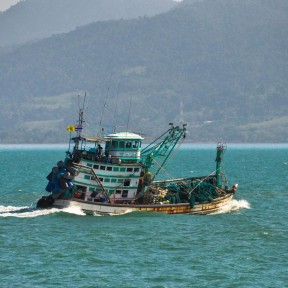 Curry-Competition | Tag 2: Von Bangkok zum White Sand Beach | Nr. 3 2010 02 25 10.31.59