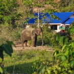 Curry-Competition | Tag 3: Khlong Phrao Beach | Nr. 46 2010 02 26 12.24.14