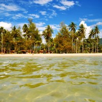 Bücher | Curry-Competition | Nr. 88 Vorwort