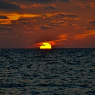 Curry-Competition | Tag 2: Von Bangkok zum White Sand Beach | Nr. 90 2010 02 27 19.20.05