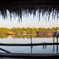 Curry-Competition | Tag 8: Surat Thani, Donsak und rüber nach Koh Pha Ngan | Nr. 4 2010 03 03 08.08.17
