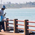 Curry-Competition | Tag 8: Surat Thani, Donsak und rüber nach Koh Pha Ngan | Nr. 12 2010 03 03 10.34.18