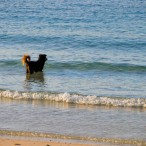 Curry-Competition | Tag 9: Chaloklum und der Chà ang-dt<u>a</u>t-phóm | Nr. 50 2010 03 04 18.24.52