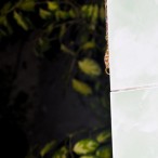 Curry-Competition | Tag 9: Chaloklum und der Chà ang-dt<u>a</u>t-phóm | Nr. 58 2010 03 05 02.05.42