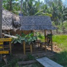 Curry-Competition | Tag 10: Hell’s Dennis, Mama Pooh und der Fuck Bucket | Nr. 10 2010 03 05 14.42.16