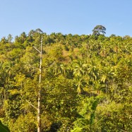 Curry-Competition | Tag 10: Hell’s Dennis, Mama Pooh und der Fuck Bucket | Nr. 15 2010 03 05 16.34.03