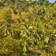 Curry-Competition | Tag 10: Hell’s Dennis, Mama Pooh und der Fuck Bucket | Nr. 16 2010 03 05 16.34.18