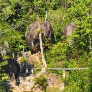 Curry-Competition | Tag 10: Hell’s Dennis, Mama Pooh und der Fuck Bucket | Nr. 17 2010 03 05 16.36.54