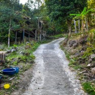 Curry-Competition | Tag 10: Hell’s Dennis, Mama Pooh und der Fuck Bucket | Nr. 19 2010 03 05 16.40.40