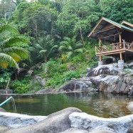 Curry-Competition | Tag 10: Hell’s Dennis, Mama Pooh und der Fuck Bucket | Nr. 21 2010 03 05 17.10.01