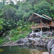 Curry-Competition | Tag 10: Hell’s Dennis, Mama Pooh und der Fuck Bucket | Nr. 22 2010 03 05 17.10.15