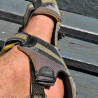 Curry-Competition | Tag 8: Surat Thani, Donsak und rüber nach Koh Pha Ngan | Nr. 35 2010 03 07 13.16.48