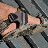 Curry-Competition | Tag 8: Surat Thani, Donsak und rüber nach Koh Pha Ngan | Nr. 36 2010 03 07 13.17.04