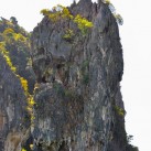 Curry-Competition | Tag 19: Die bescheuerte James-Bond-Tour | Nr. 26 Khao Tapu