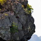 Curry-Competition | Tag 19: Die bescheuerte James-Bond-Tour | Nr. 34 2010 03 14 10.56.00