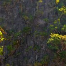 Curry-Competition | Tag 19: Die bescheuerte James-Bond-Tour | Nr. 41 2010 03 14 11.04.39