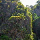 Curry-Competition | Tag 19: Die bescheuerte James-Bond-Tour | Nr. 50 2010 03 14 11.11.03 2