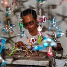 Curry-Competition | Tag 19: Die bescheuerte James-Bond-Tour | Nr. 72 2010 03 14 13.21.59