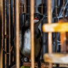 Curry-Competition | Tag 19: Die bescheuerte James-Bond-Tour | Nr. 76 2010 03 14 13.24.51