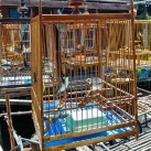 Curry-Competition | Tag 19: Die bescheuerte James-Bond-Tour | Nr. 79 2010 03 14 13.26.00