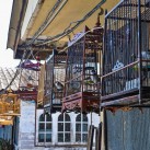 Curry-Competition | Tag 19: Die bescheuerte James-Bond-Tour | Nr. 81 2010 03 14 13.26.39