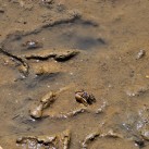 Curry-Competition | Tag 19: Die bescheuerte James-Bond-Tour | Nr. 94 2010 03 14 13.38.28