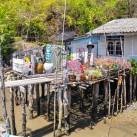 Curry-Competition | Tag 19: Die bescheuerte James-Bond-Tour | Nr. 97 2010 03 14 13.42.58