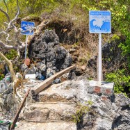 Curry-Competition | Tag 19: Die bescheuerte James-Bond-Tour | Nr. 104 2010 03 14 13.43.23