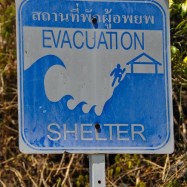 Curry-Competition | Tag 19: Die bescheuerte James-Bond-Tour | Nr. 105 2010 03 14 13.43.27