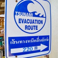 Curry-Competition | Tag 19: Die bescheuerte James-Bond-Tour | Nr. 103 2010 03 14 13.48.31