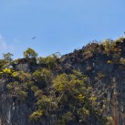 Curry-Competition | Tag 19: Die bescheuerte James-Bond-Tour | Nr. 98 2010 03 14 13.54.39