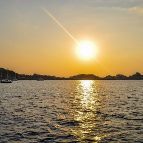 Curry-Competition | Tag 22: Koh Similan: Tauchen im Nationalpark | Nr. 123 2010 03 17 17.57.44