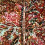 Curry-Competition | Tag 23: Das grüne Monster, die Schildkröte und ein krasser Freak | Nr. 82 Braunband-Seenadel (?)