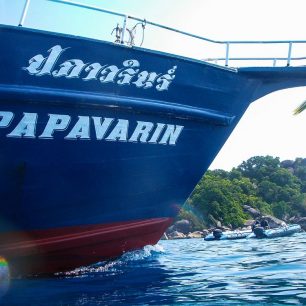 Curry-Competition | Tag 23: Das grüne Monster, die Schildkröte und ein krasser Freak | Nr. 88 Die Papavarin