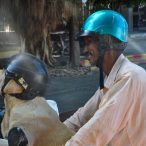 Curry-Competition | Tag 25: Das On On und Phuket Town | Nr. 106 2010 03 20 15.28.40 1