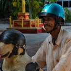 Curry-Competition | Tag 25: Das On On und Phuket Town | Nr. 107 2010 03 20 15.28.45