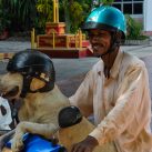  | »Curry-Competition« gibt es ab sofort vier Wochen lang kostenlos! | Nr. 4 2010 03 20 15.28.46 2