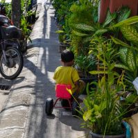 Curry-Competition | Tag 27: Der Süden der Stadt | Nr. 32 2010 03 22 15.46.40 1