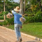 Curry-Competition | Tage 30 & 31: Die Tempel von Angkor | Nr. 3 2010 03 25 09.02.44