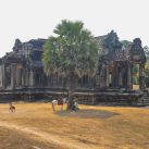 Curry-Competition | Tage 30 & 31: Die Tempel von Angkor | Nr. 26 Angkor Wat
