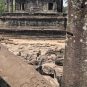 Curry-Competition | Tage 30 & 31: Die Tempel von Angkor | Nr. 112 Bayon