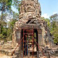 Curry-Competition | Tage 30 & 31: Die Tempel von Angkor | Nr. 185 Ta Prohm