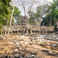 Curry-Competition | Tage 30 & 31: Die Tempel von Angkor | Nr. 187 Ta Prohm