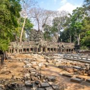 Curry-Competition | Tage 30 & 31: Die Tempel von Angkor | Nr. 188 Ta Prohm