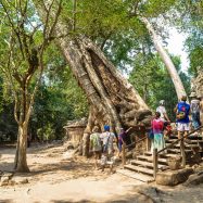 Curry-Competition | Tage 30 & 31: Die Tempel von Angkor | Nr. 189 Ta Prohm